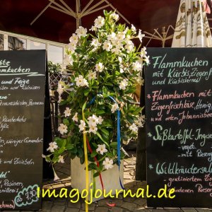 Linz am Rhein, Gastronomie am Marktplatz